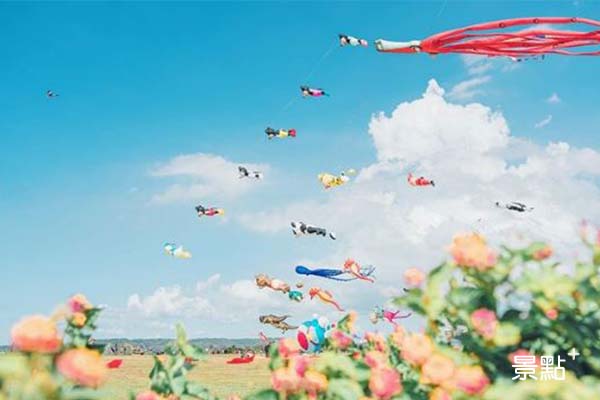 新竹風箏節邀請超過15組團隊，有各式造型大型軟體風箏。（圖／plant_hui）