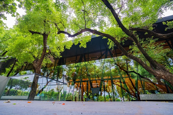 玻璃屋的前衛建築被綠油油的樹林包圍