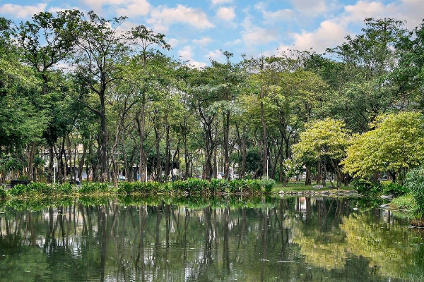 大東濕地公園被譽為城市裡的迷你忘憂森林。 (圖／高雄市政府)