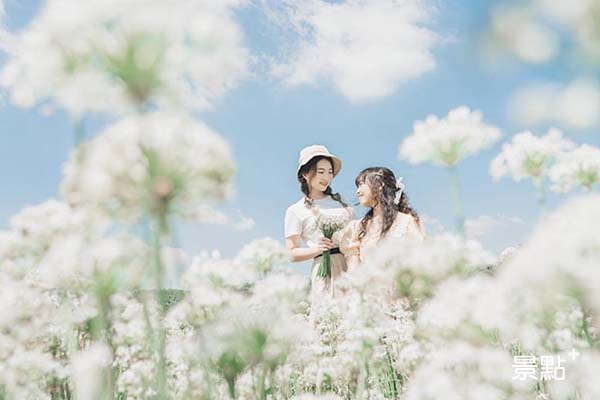 這就是女友要的夢幻美照！三大花海拍爆