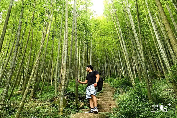 夢幻竹林雙步道美景！瀑布銀杏森林放空一日