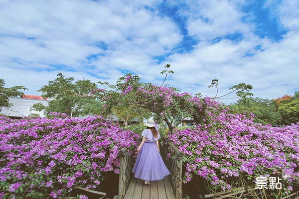 新瓦屋客家文化保存區的紫色花瀑  (圖／3more_hi4)