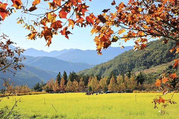 油畫般田園美景！山林步道療癒系微旅行