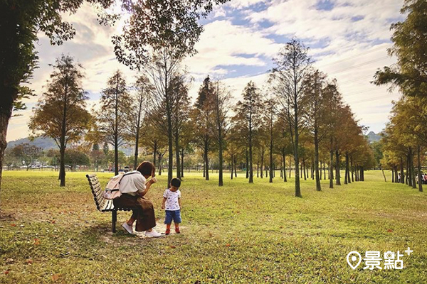 在落羽松下野餐，是最幸福的秋日限定行程。 (圖／pomelo_wang1810)