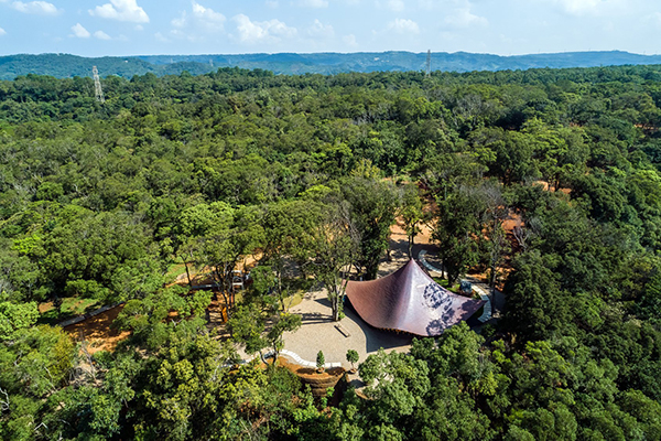 每年減碳3460公噸，約等9座大安森林公園減碳量。 (圖／雲夢山丘)