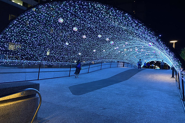 心中山線形公園聖誕燈海照片 (圖／台北市政府，以下同)