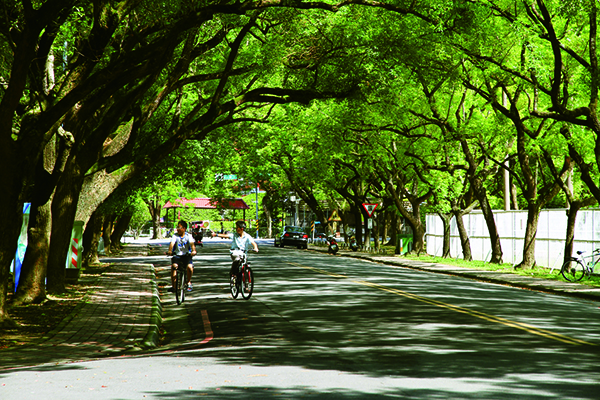 中興新村綠色隧道 (圖／南投縣政府)