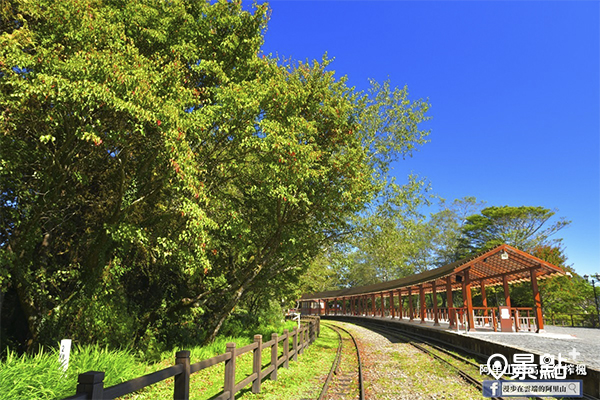 鐵道秘境擁滿園楓葉！平台大景浪漫滿分