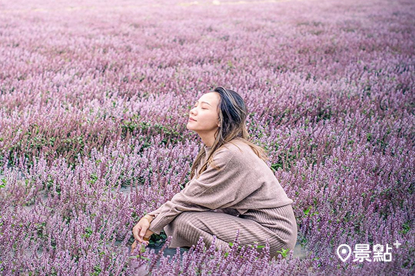 IG洗版就是要拍！全台八大人氣爆棚花海