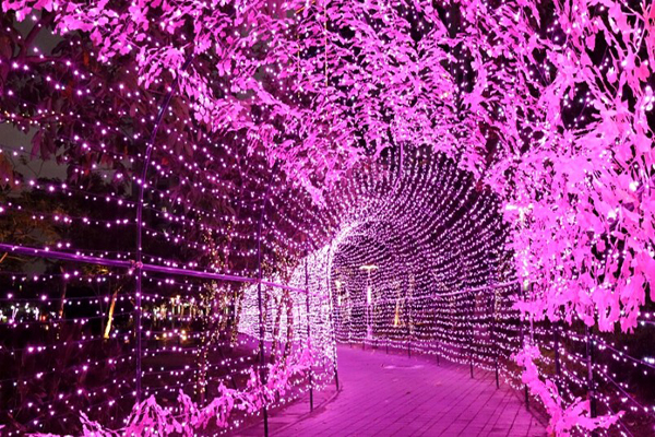 粉紅隧道燈海