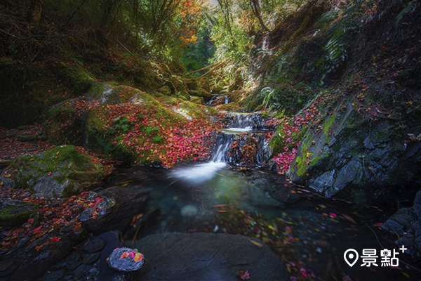 河谷秘境擁楓紅絕景！禪風美拍季節限定