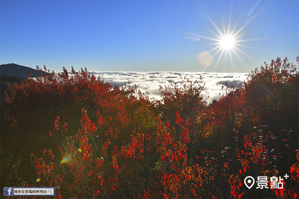 山岳楓紅尬落日雲海！百萬級大景輕鬆賞