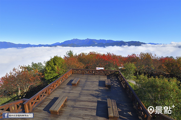 小笠原觀景平台。 (圖／漫步在雲端的阿里山)