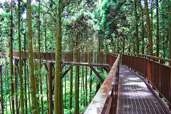 中台灣七大療癒系美景步道！假日輕鬆玩