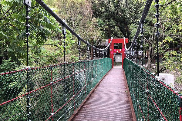 旅客也可走上橋觀賞粉紅色的櫻花河