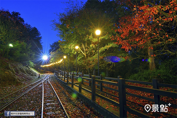 楓紅小徑彷若異國絕景！鐵道黎明賞日出