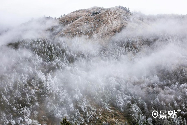 宜蘭太平山在2021第一天，山頭覆蓋上一層夢幻的霧淞。(圖 / taiwan_explorer2019)