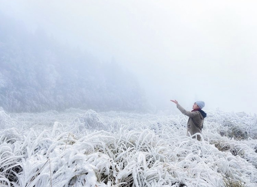 太平山陽明山下雪了！低溫特報體感溫度只剩4度