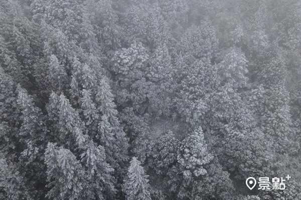 披上白色衣裳的森林。 (圖／kang_0113)