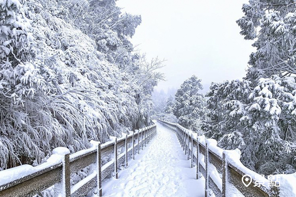 最仙山湖森林步道！賞雪必訪秘境級熱點