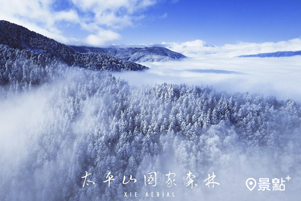 太平山國家森林夢幻雪景空拍視角。 (圖／xieaerial)