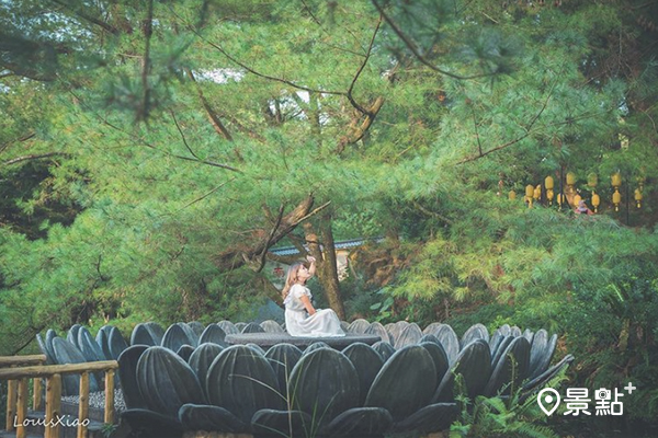 禪意巨蓮彷若京都！神木古橋放空一日遊