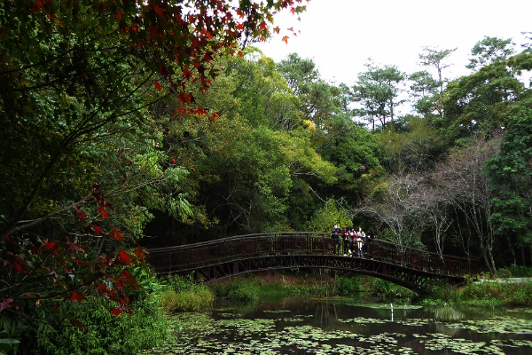 奧萬大生態池。 (圖／南投林管處)