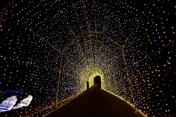 以金色耀眼的燈光打造全長5公里的黃金隧道