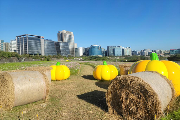 巨大南瓜造型裝置物及稻草捆，是非常新奇有趣的拍照打卡地點。 (圖／台北市水利處，以下同)