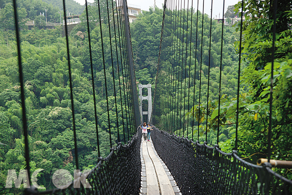 隱身溪壑的義興吊橋，曾出現在電影賽德克巴萊的場景。 （圖／桃園市政府)