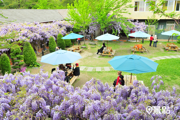 春季限定紫藤花美景，春天秒飛日本彷彿置身國外度假之感。（圖／礁溪晶泉丰旅，以下同）