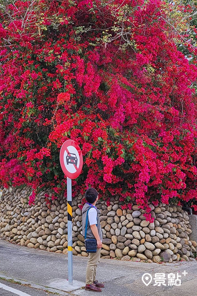 沿著步道漫步賞花，好像走在南歐小鎮的路上。 (圖／ceimei)