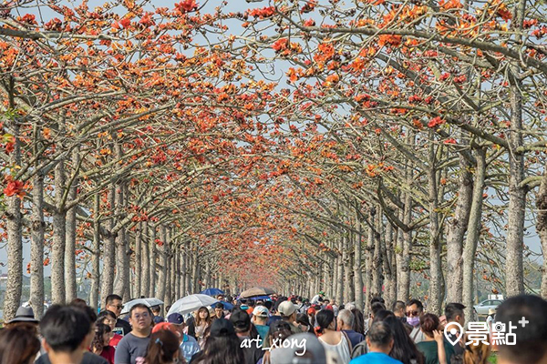 被譽為全球15大最美花海步道之一「白河林初埤木棉花道」 (圖／art_xiong)