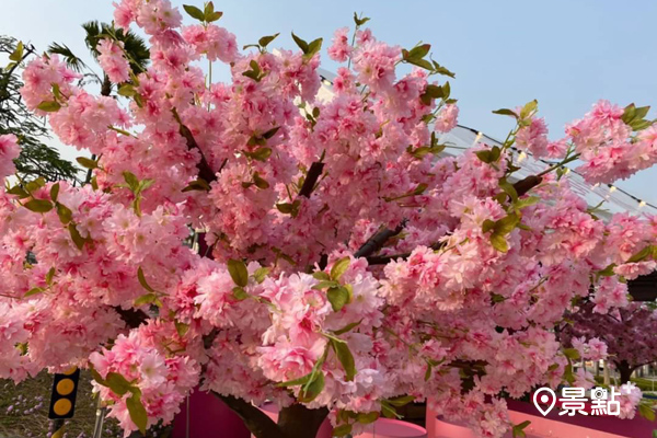 粉嫩的櫻花造景。  (圖／YUYAW)