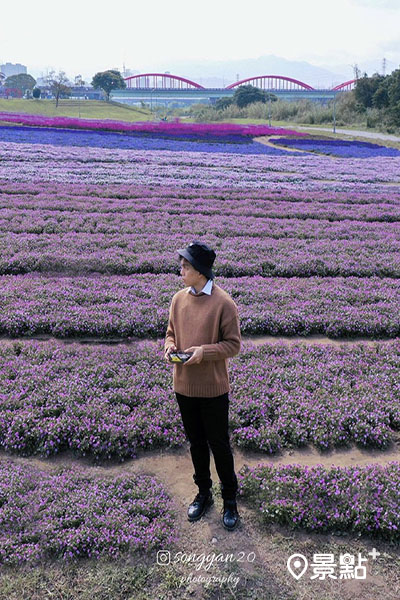古亭河濱公園紫色花海。 (圖／songyan121)