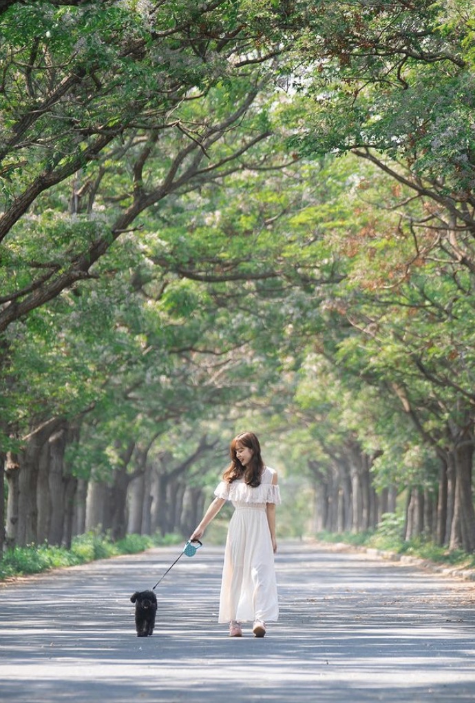 美麗的樹海美景展現寧靜、優雅的氣質。（圖 / stephyu_chen)
