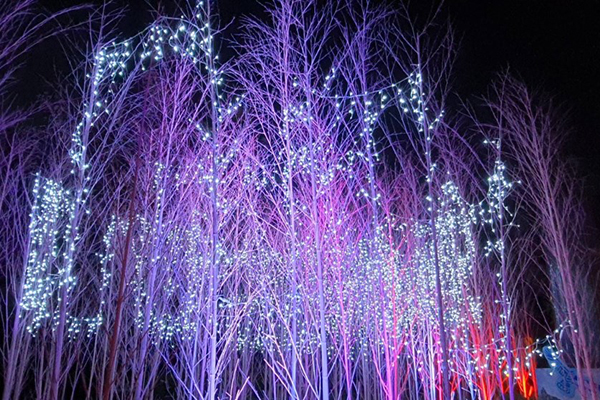 粉紅竹林以大量的「竹子」作為創作媒材 (圖／台灣燈會)