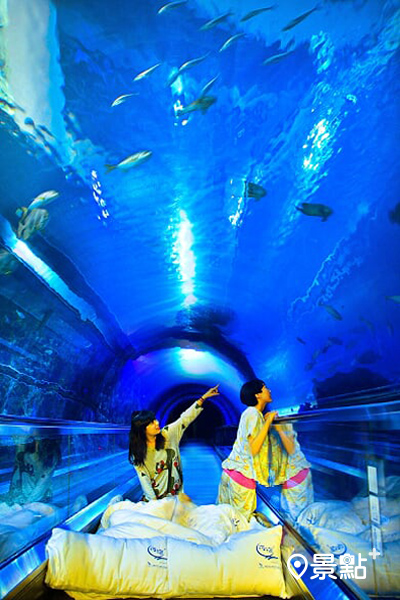 夜宿海生館 海底隧道。