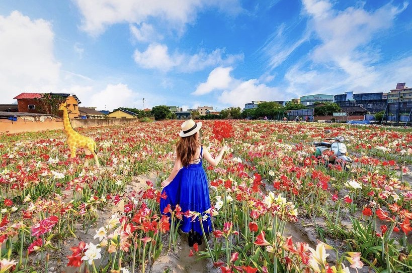 全台最大孤挺花花海！繽紛田園花園美拍美景