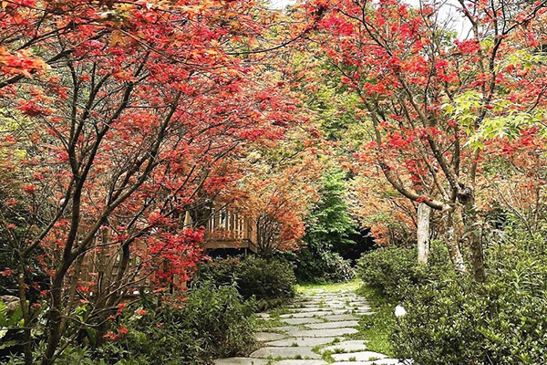 春日紅葉秘境！歐風庭園吊橋美景同賞