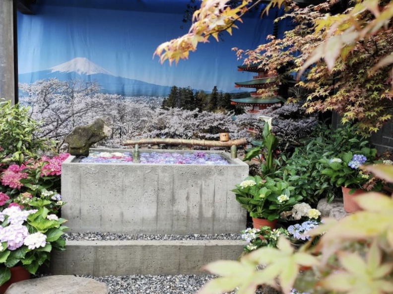 美麗的繡球花海花手水營造日本場景氛圍。（圖／大賞園繡球花，以下同）