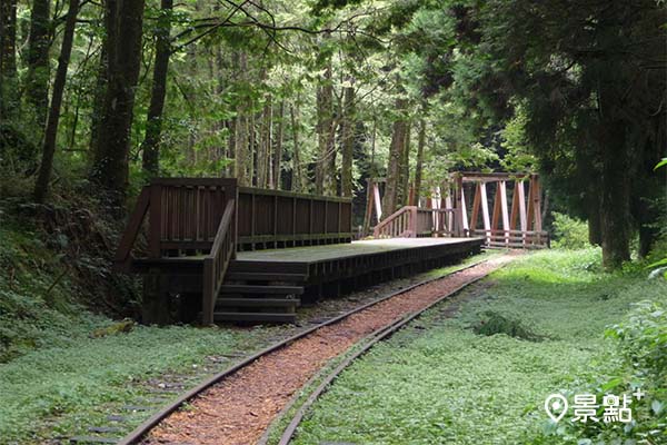 不只眠月線鐵道美景!阿里山夢幻水山線步道重磅回歸