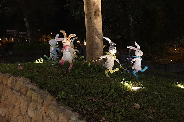 圍著樹跳舞的兔兔