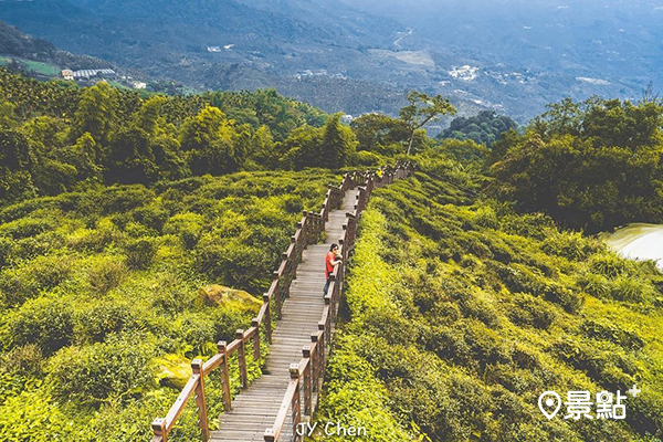 小萬里長城最友善步道！輕鬆攻頂賞茶園美景風光