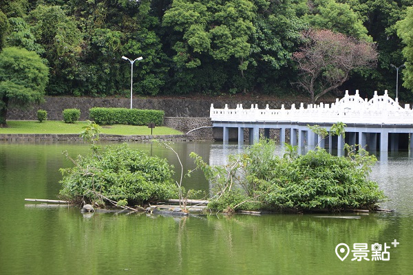 綠意滿園生態浮島！碧湖四步道親子踏青好去處