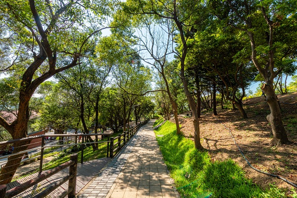 全新賞夜景步道公園新景點！低難度爬山賞景好去處