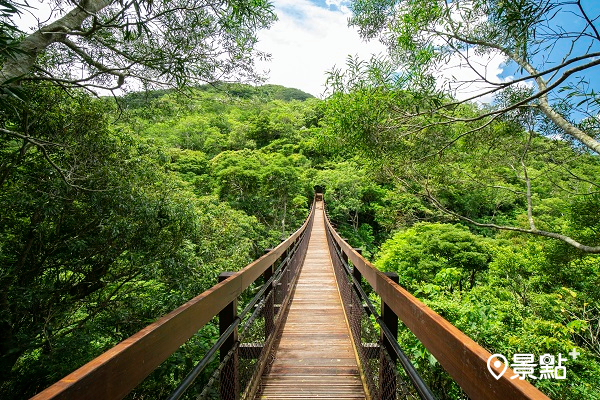 雙流國家森林遊樂區-漫步森林的沿山吊橋