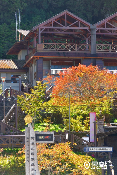 阿里山旅客服務中心望向火車站的青楓及櫻花變色葉，白天溫度15度左右。