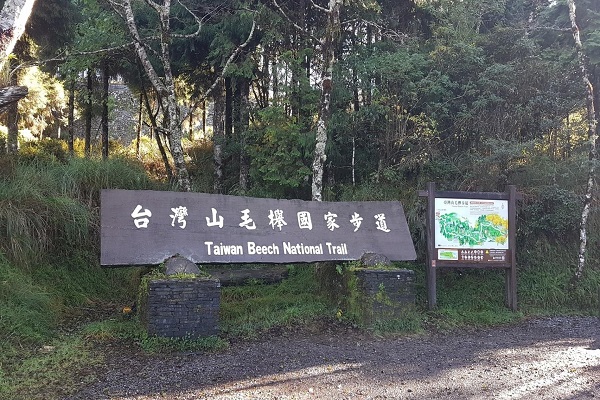 台灣山毛櫸步道