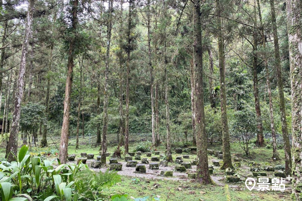 福山植物園由於保有自然度極高的天然環境，一直都是遊客嚮往之休憩場所。